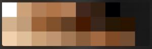 Procreate color palette ＊ Teddy Bear