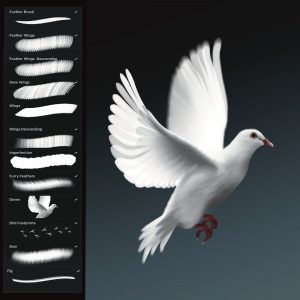 Birds ＊ Procreate Brush Set