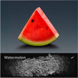 Watermelon ＊ Procreate Texture Brush