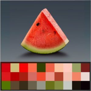 Watermelon Slice Procreate Palette