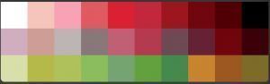 Procreate color palette＊Cherry