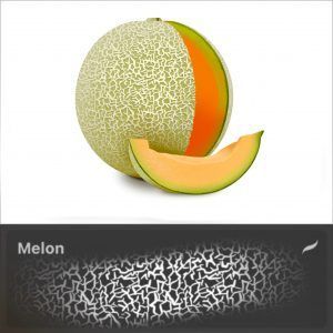 Melon＊ Procreate Brush